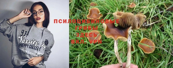 гидропоника Бронницы