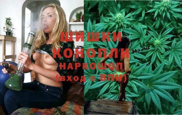 винт Богданович