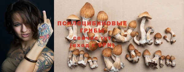 2c-b Бугульма