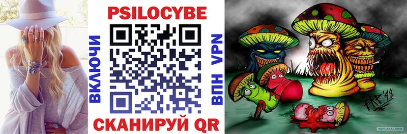 shop состав  МЕГА сайт  Гороховец  купить закладку  Псилоцибиновые грибы Cubensis 