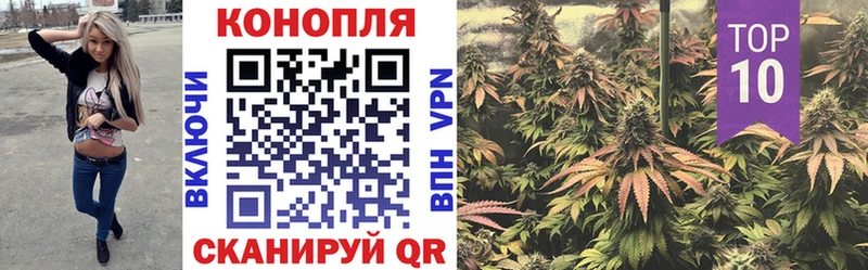 Бошки Шишки OG Kush  Гороховец 